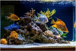 Jigsaw Puzzles 1000 Pieces for Adult Freshwater Aquarium Pseudo sea Style aquadesign Aquarium Puzzle Game for Family Wooden Puzzle Toy Educational Games Puzzles for Home Decor