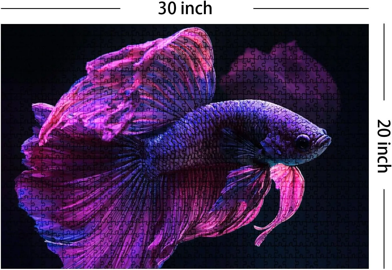 Jigsaw Puzzles 1000 Pieces for Adult Pink Betta Fish Fancy Betta The Moment Beautiful Puzzle Game for Family Wooden Puzzle Toy Educational Games Puzzles for Home Decor