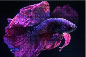 Jigsaw Puzzles 1000 Pieces for Adult Pink Betta Fish Fancy Betta The Moment Beautiful Puzzle Game for Family Wooden Puzzle Toy Educational Games Puzzles for Home Decor