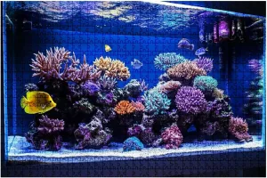 Jigsaw Puzzles 1000 Pieces for Adult Saltwater Coral Aquarium Fish Tank Puzzle Game for Family Wooden Puzzle Toy Educational Games Puzzles for Home Decor