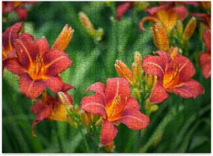 Jigsaw Puzzles 500 Pieces for Adult Beautiful Ornamental Garden Day Lily Puzzle Game for Family Wooden Puzzle Toy Educational Games Puzzles for Home Decor