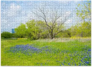 Jigsaw Puzzles 500 Pieces for Adult Blooming Bluebonnet Meadow Downtown Las Colinas Irving Texas Puzzle Game for Family Wooden Puzzle Toy Educational Games Puzzles for Home Decor
