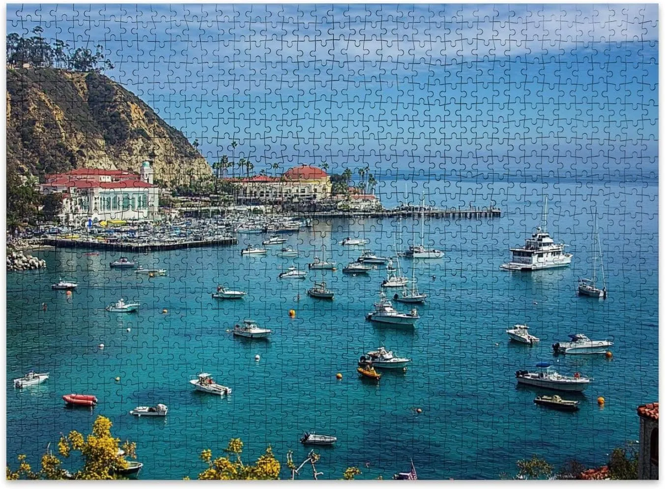 Jigsaw Puzzles 500 Pieces for Adult Catalina Island Fishing Port Pictures Royalty Free Photos Puzzle Game for Family Wooden Puzzle Toy Educational Games Puzzles for Home Decor