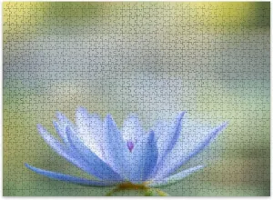 Jigsaw Puzzles 500 Pieces for Adult Closeup White Light Blue Water Lotus Pond Using as Nature Flora Cover Puzzle Game for Family Wooden Puzzle Toy Educational Games Puzzles for Home Decor