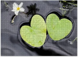 Jigsaw Puzzles 500 Pieces for Adult Heart Shape Lotus Leaves Puzzle Game for Family Wooden Puzzle Toy Educational Games Puzzles for Home Decor