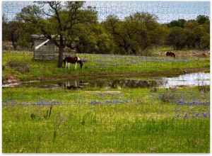 Jigsaw Puzzles 500 Pieces for Adult Horses Pasture Next to Pond Texas Hill Country Puzzle Game for Family Wooden Puzzle Toy Educational Games Puzzles for Home Decor