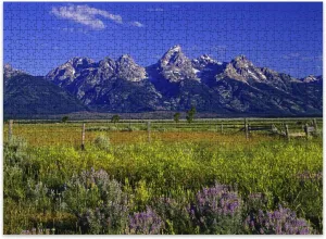 Jigsaw Puzzles 500 Pieces for Adult Mountains Wildflowers Grand Teton National Park Wyoming Puzzle Game for Family Wooden Puzzle Toy Educational Games Puzzles for Home Decor