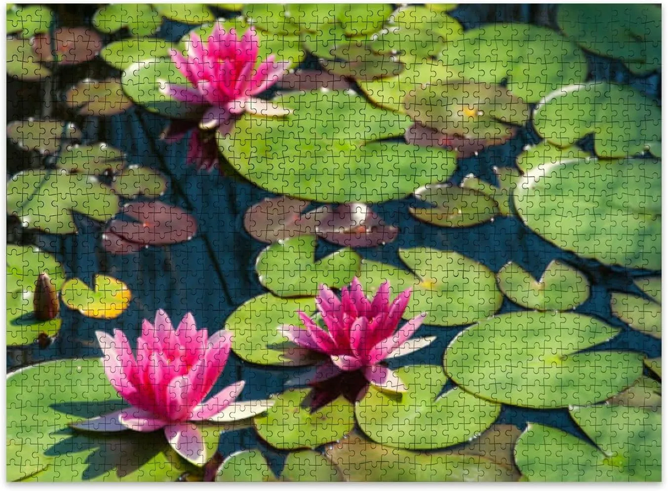 Jigsaw Puzzles 500 Pieces for Adult Pink Water Lilies Puzzle Game for Family Wooden Puzzle Toy Educational Games Puzzles for Home Decor