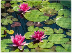 Jigsaw Puzzles 500 Pieces for Adult Pink Water Lilies Puzzle Game for Family Wooden Puzzle Toy Educational Games Puzzles for Home Decor
