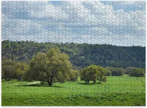 Jigsaw Puzzles 500 Pieces for Adult Ranch Pasture Texas Hill Country Puzzle Game for Family Wooden Puzzle Toy Educational Games Puzzles for Home Decor