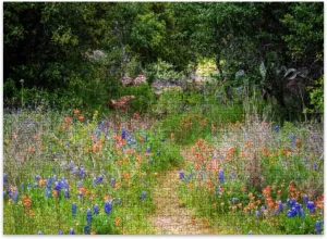 Jigsaw Puzzles 500 Pieces for Adult Texas Spring Wildflowers Puzzle Game for Family Wooden Puzzle Toy Educational Games Puzzles for Home Decor
