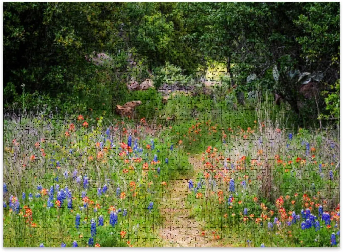 Jigsaw Puzzles 500 Pieces for Adult Texas Spring Wildflowers Puzzle Game for Family Wooden Puzzle Toy Educational Games Puzzles for Home Decor