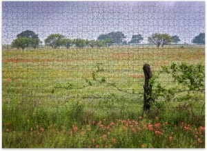 Jigsaw Puzzles 500 Pieces for Adult Texas Wildflowers Puzzle Game for Family Wooden Puzzle Toy Educational Games Puzzles for Home Decor