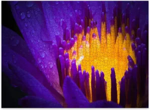 Jigsaw Puzzles 500 Pieces for Adult Water Lily use Night Color Puzzle Game for Family Wooden Puzzle Toy Educational Games Puzzles for Home Decor