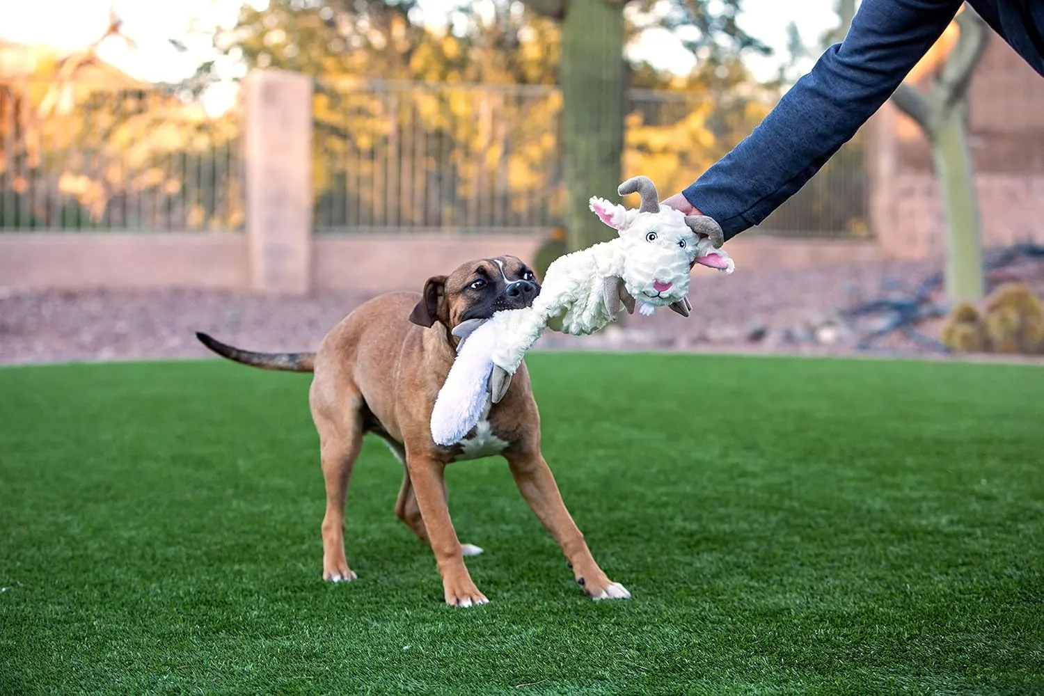 Jolly Pets Fat Tail Small Cow