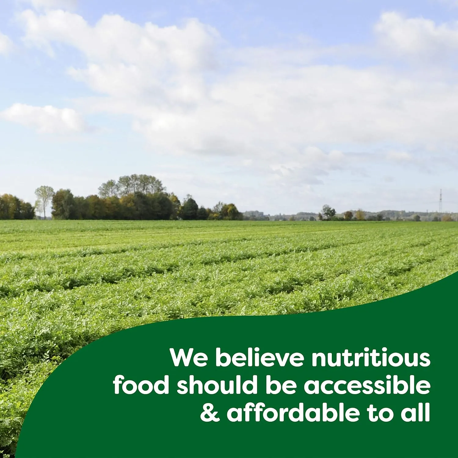 Knorr Granulated Chicken Flavor Bouillon For Sauces, Gravies And Soups Chicken Bouillon Fat And Cholesterol Free 2 lb 3 Pack