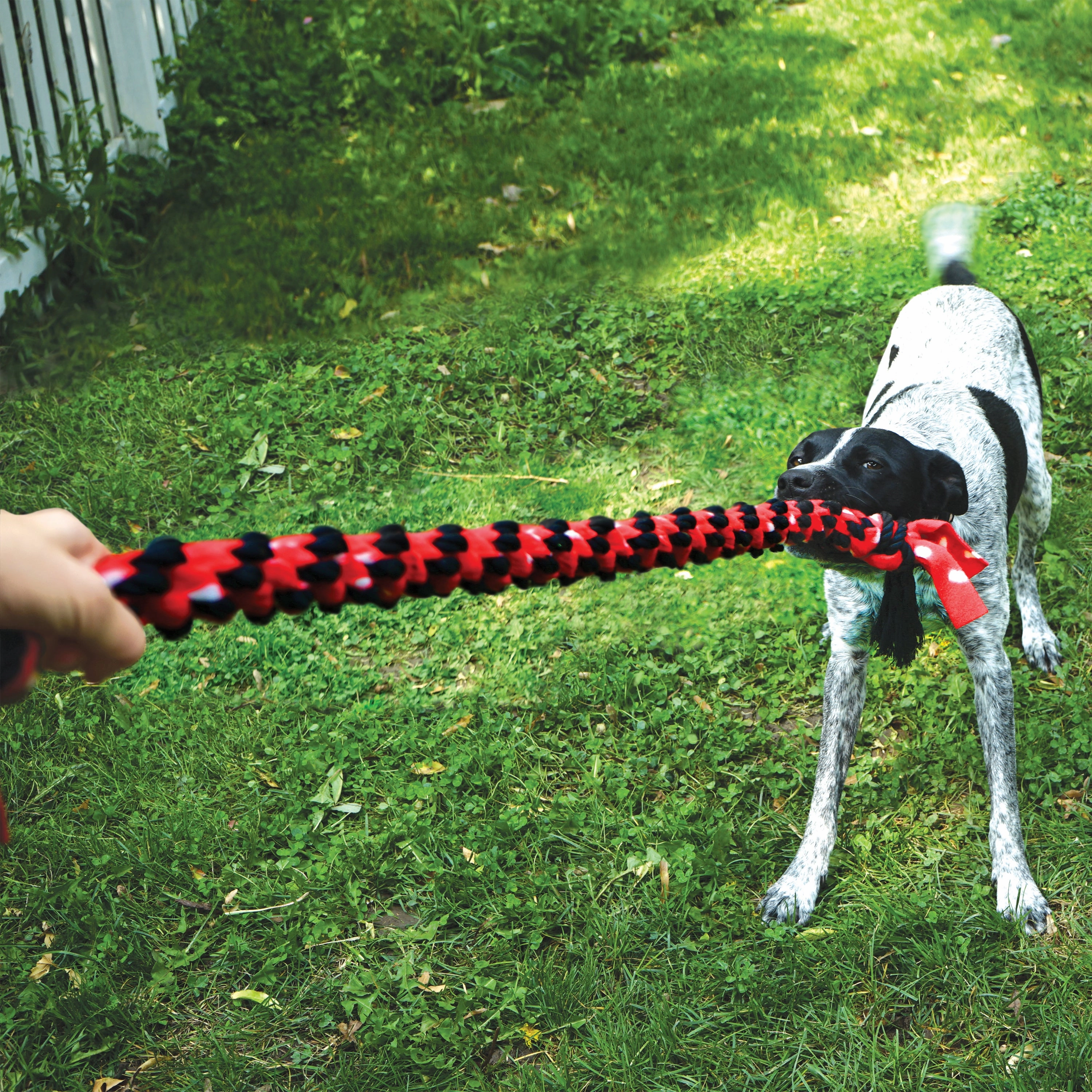 Kong Signature Rope Double Ring Tug
