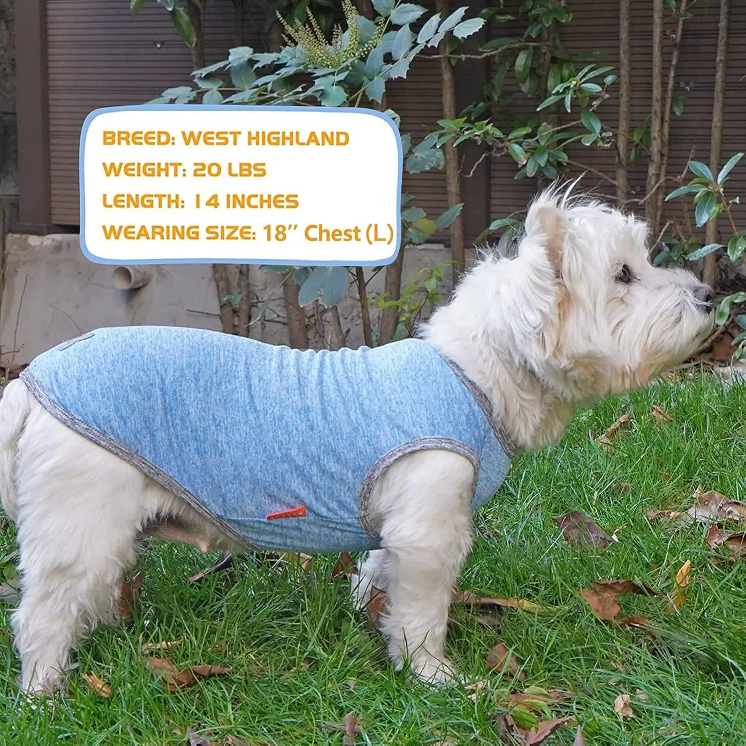 KYEESE 2 Pack Dog Shirts Quick Dry Soft Stretchy Pet T-Shirts with Reflective Label Tank Top Sleeveless Vest Sun Protection Dog Clothes for Small Dogs, Medium, Light Blue Grey