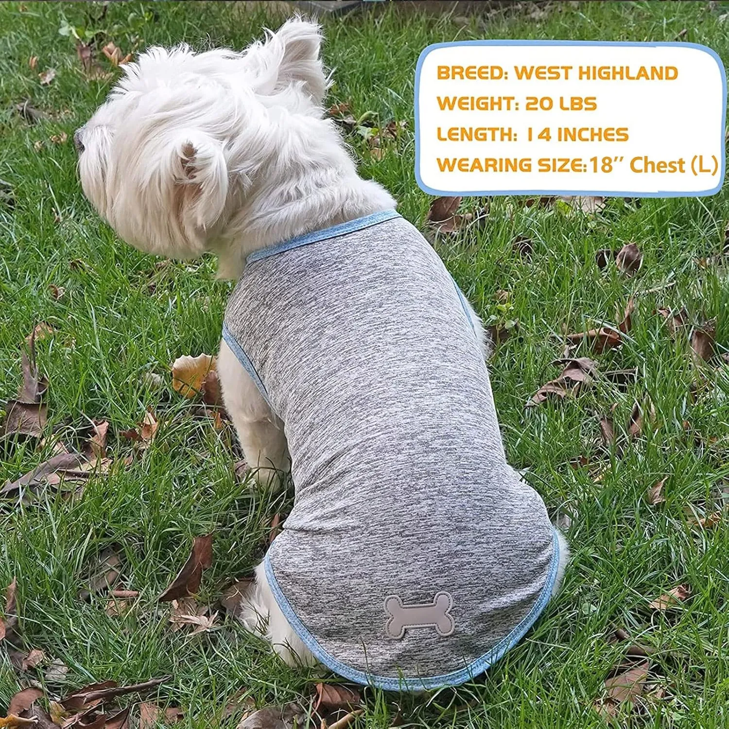 KYEESE 2 Pack Dog Shirts Quick Dry Soft Stretchy Pet T-Shirts with Reflective Label Tank Top Sleeveless Vest Sun Protection Dog Clothes for Small Dogs, Medium, Light Blue Grey