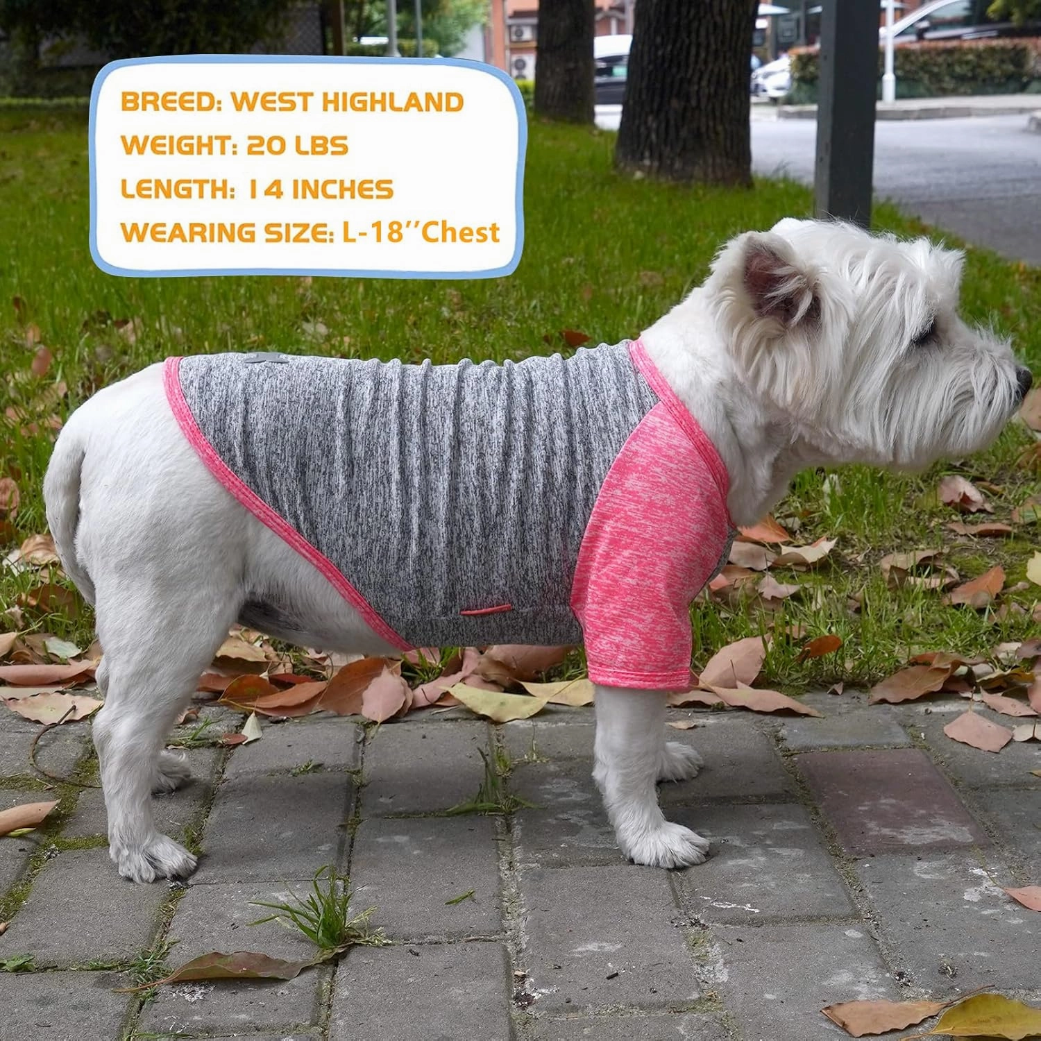 KYEESE 2 Pack Dog Shirts Quick Dry Raglan Sleeve Soft Stretchy Dog T-Shirts with Reflective Label Pet Clothes for Small Dogs Sun Protection Pet Apparel, Coral Red Grey, L