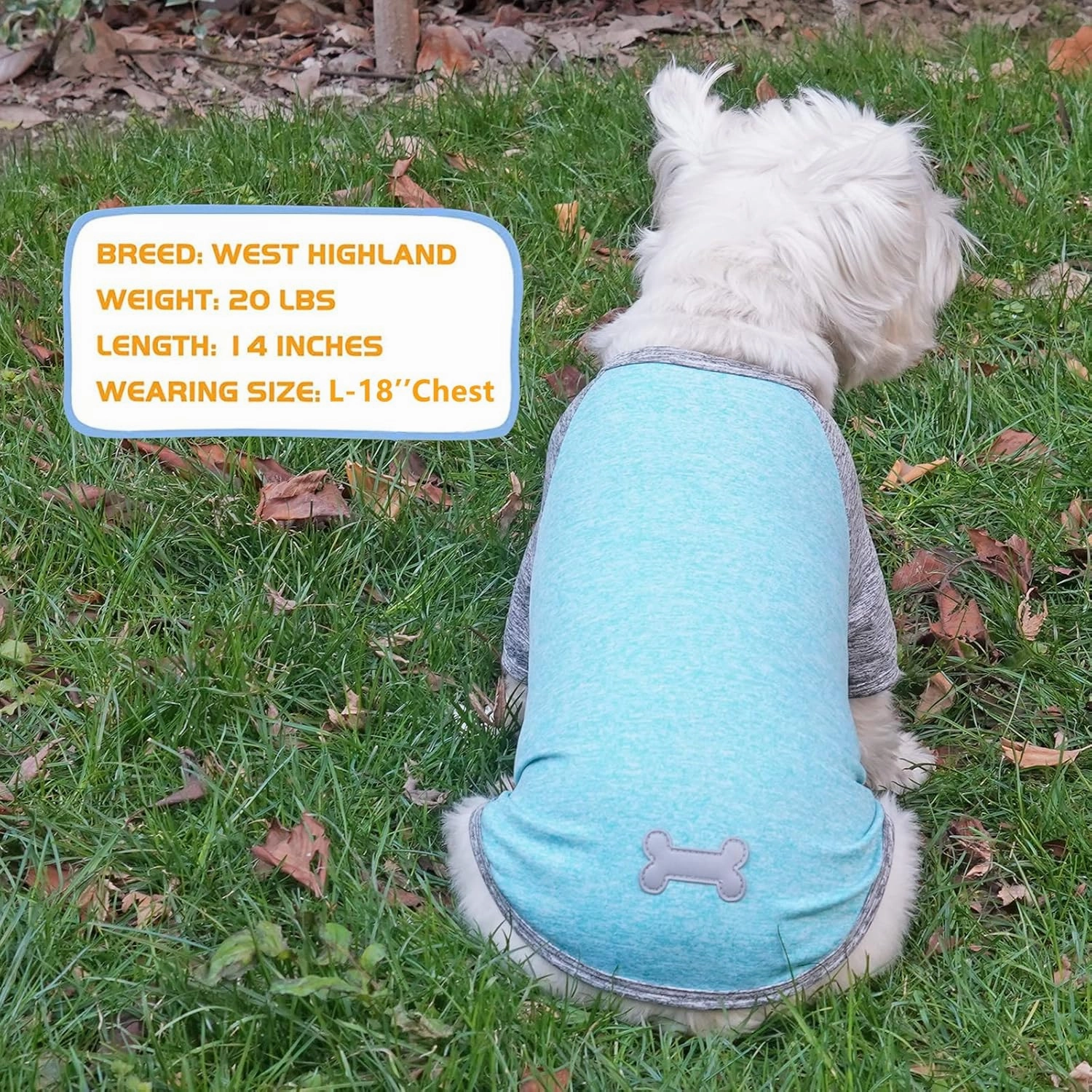 KYEESE 2 Pack Dog Shirts Quick Dry Raglan Sleeve Soft Stretchy Dog T-Shirts with Reflective Label Pet Clothes for Small Dogs Sun Protection Pet Apparel, Large, Grey Blue