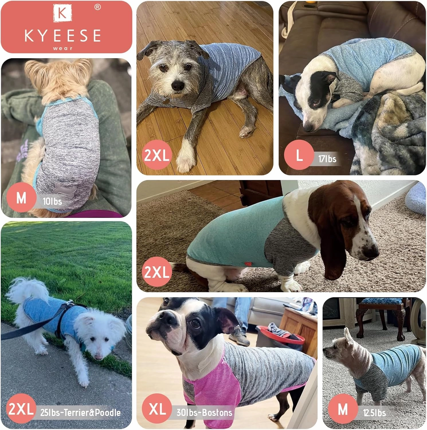 KYEESE 2 Pack Dog Shirts Quick Dry Raglan Sleeve Soft Stretchy Dog T-Shirts with Reflective Label Pet Clothes for Small Dogs Sun Protection Pet Apparel, Large, Grey Blue