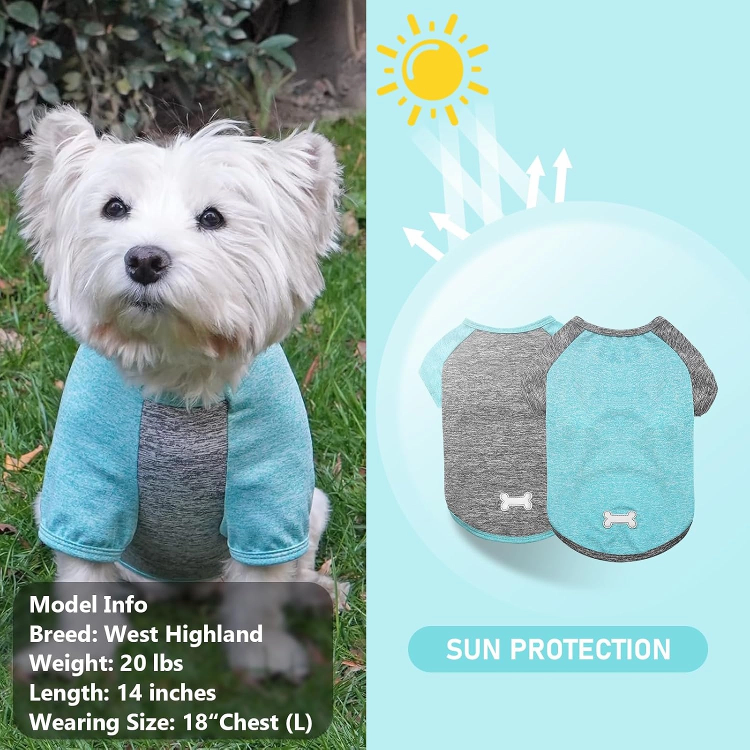 KYEESE 2 Pack Dog Shirts Quick Dry Raglan Sleeve Soft Stretchy Dog T-Shirts with Reflective Label Pet Clothes for Small Dogs Sun Protection Pet Apparel, Large, Grey Blue