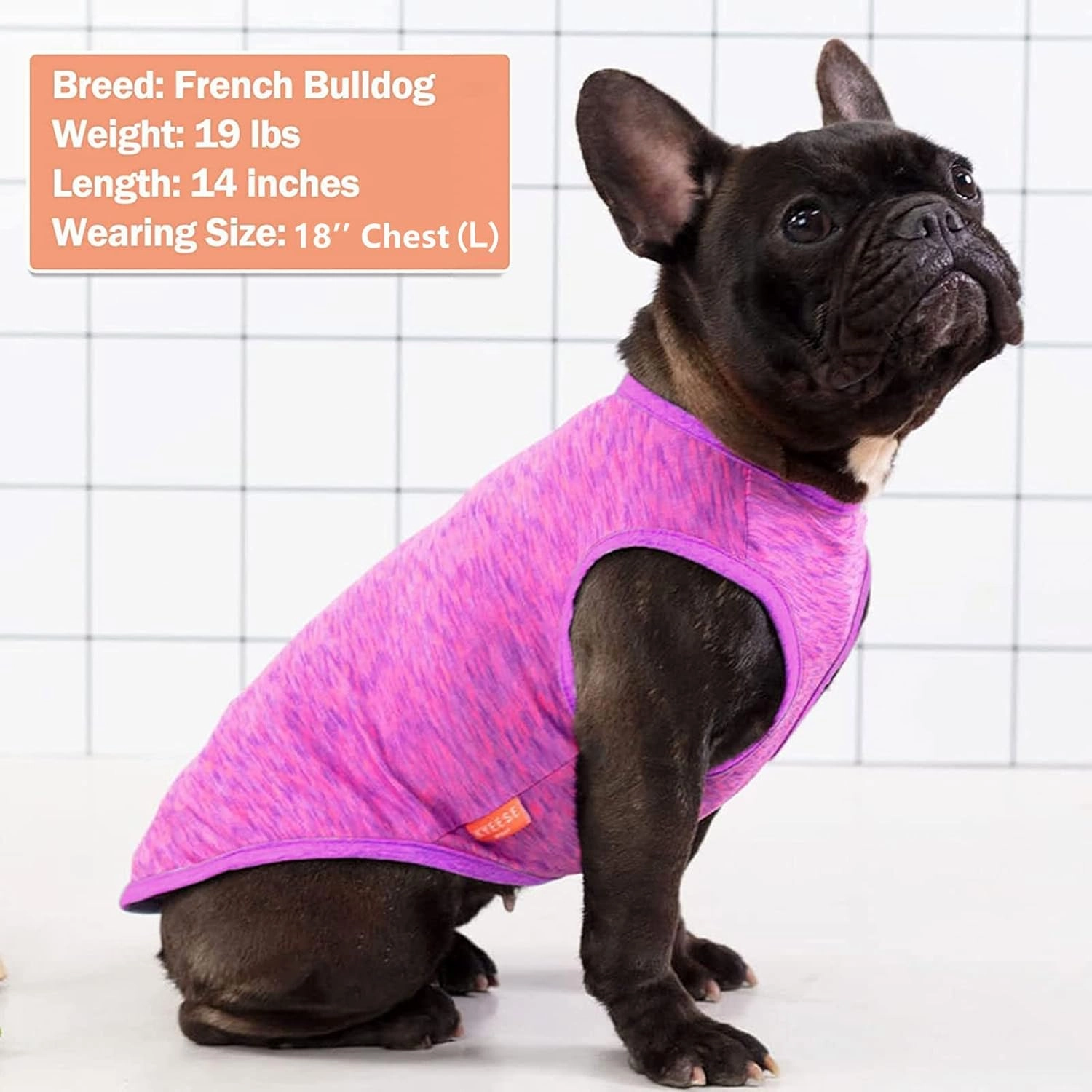 KYEESE 2 Pack Dog Shirts Quick Dry Soft Stretchy Sun Protection Dog T-Shirts with Reflective Label Tank Top Sleeveless Vest Pet Clothes for Small Medium Pet, Large, Purple Pink