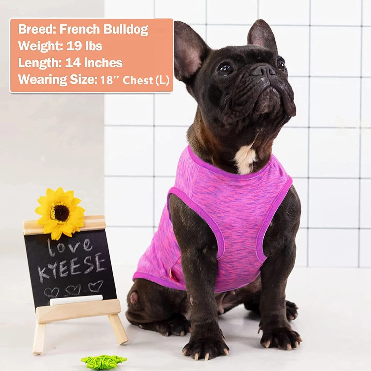 KYEESE 2 Pack Dog Shirts Quick Dry Soft Stretchy Sun Protection Dog T-Shirts with Reflective Label Tank Top Sleeveless Vest Pet Clothes for Small Medium Pet, Large, Purple Pink