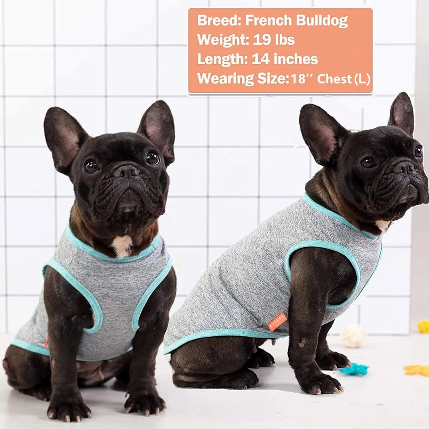 KYEESE 2 Pack Sun Protection Dog Shirts Quick Dry Soft Stretchy Dog T-Shirts with Reflective Label Tank Top Sleeveless Vest Pet Clothes for Small Medium Pet, Large, Grey Blue