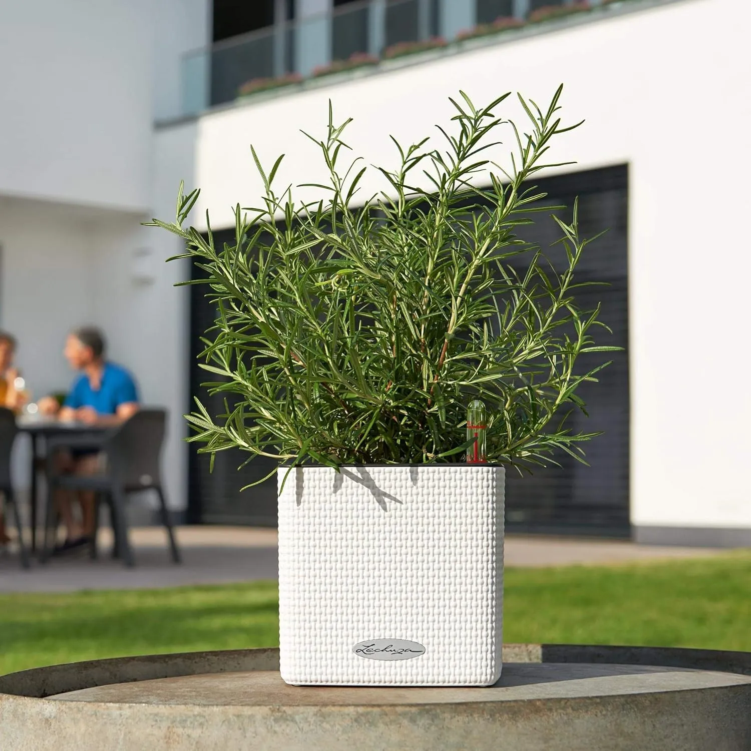 Lechuza 13384 Cube Color 14 Self-Watering Planter for Indoor and Outdoor Use, 6" x 6" x5", Slate