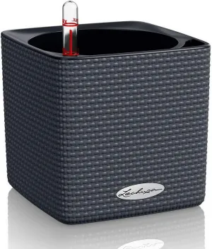Lechuza 13384 Cube Color 14 Self-Watering Planter for Indoor and Outdoor Use, 6" x 6" x5", Slate