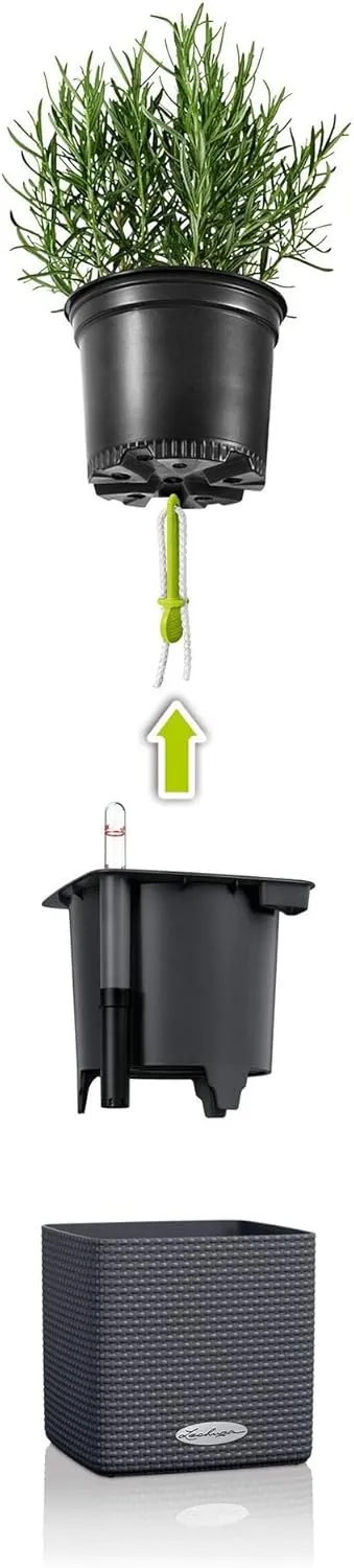 Lechuza 13384 Cube Color 14 Self-Watering Planter for Indoor and Outdoor Use, 6" x 6" x5", Slate