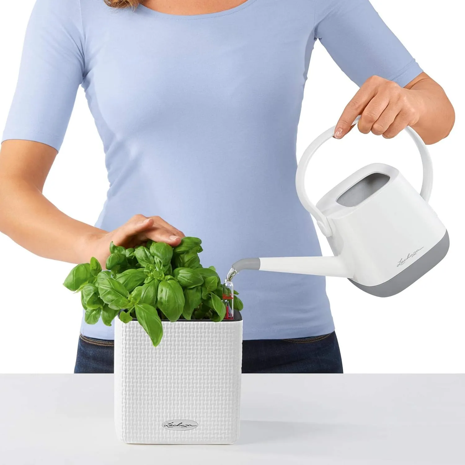 Lechuza 13384 Cube Color 14 Self-Watering Planter for Indoor and Outdoor Use, 6" x 6" x5", Slate