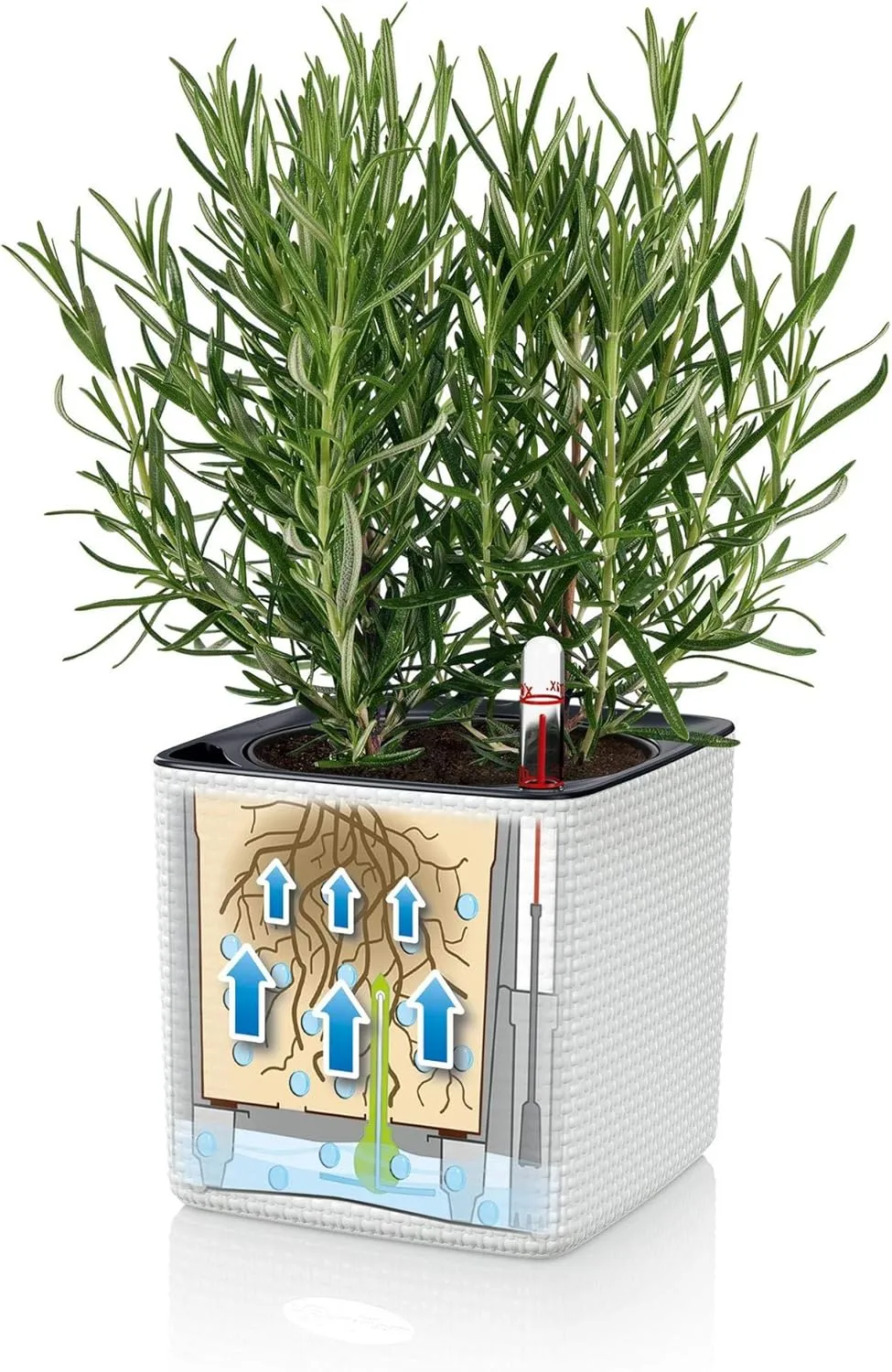 Lechuza 13384 Cube Color 14 Self-Watering Planter for Indoor and Outdoor Use, 6" x 6" x5", Slate