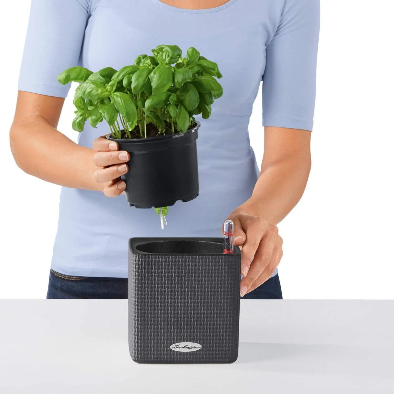 Lechuza 13488 Cube Color 16 Self-Watering Planter for Indoor and Outdoor Use, 7" x 7" x 6", Sand Brown