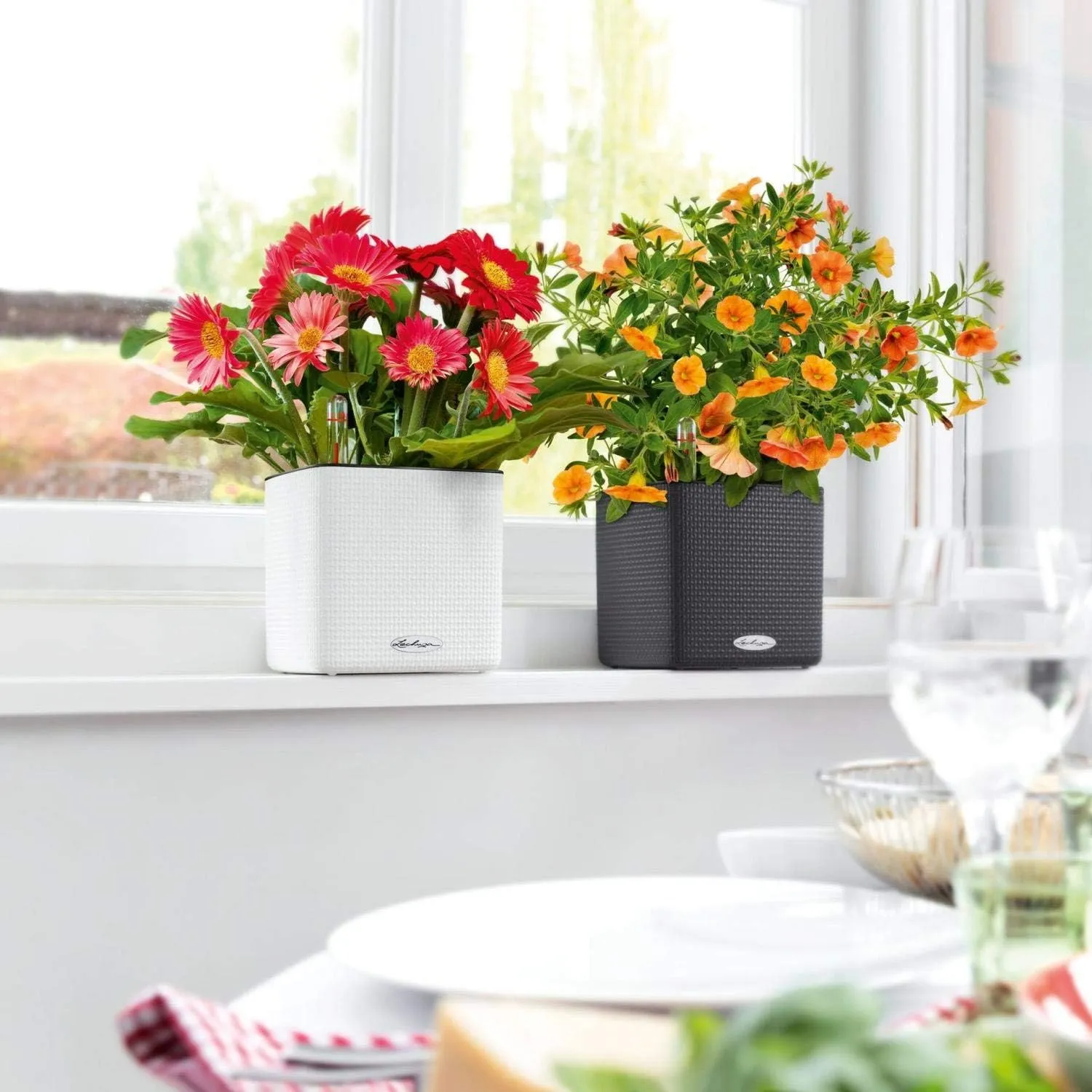 Lechuza 13488 Cube Color 16 Self-Watering Planter for Indoor and Outdoor Use, 7" x 7" x 6", Sand Brown
