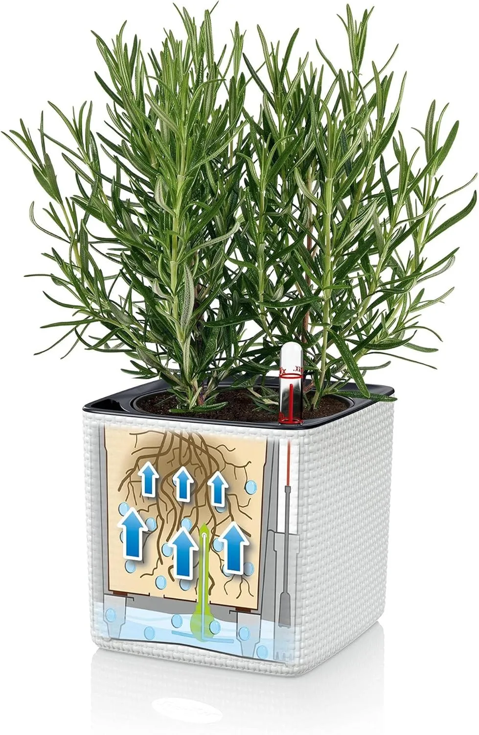 Lechuza Cube Color 14 Planter, Sand Brown, 6" x 6" x 5"