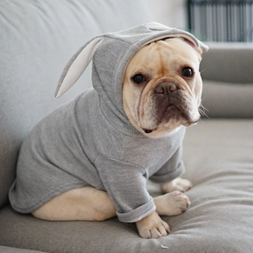 Lightweight Dog Sweater for Spring and Fall