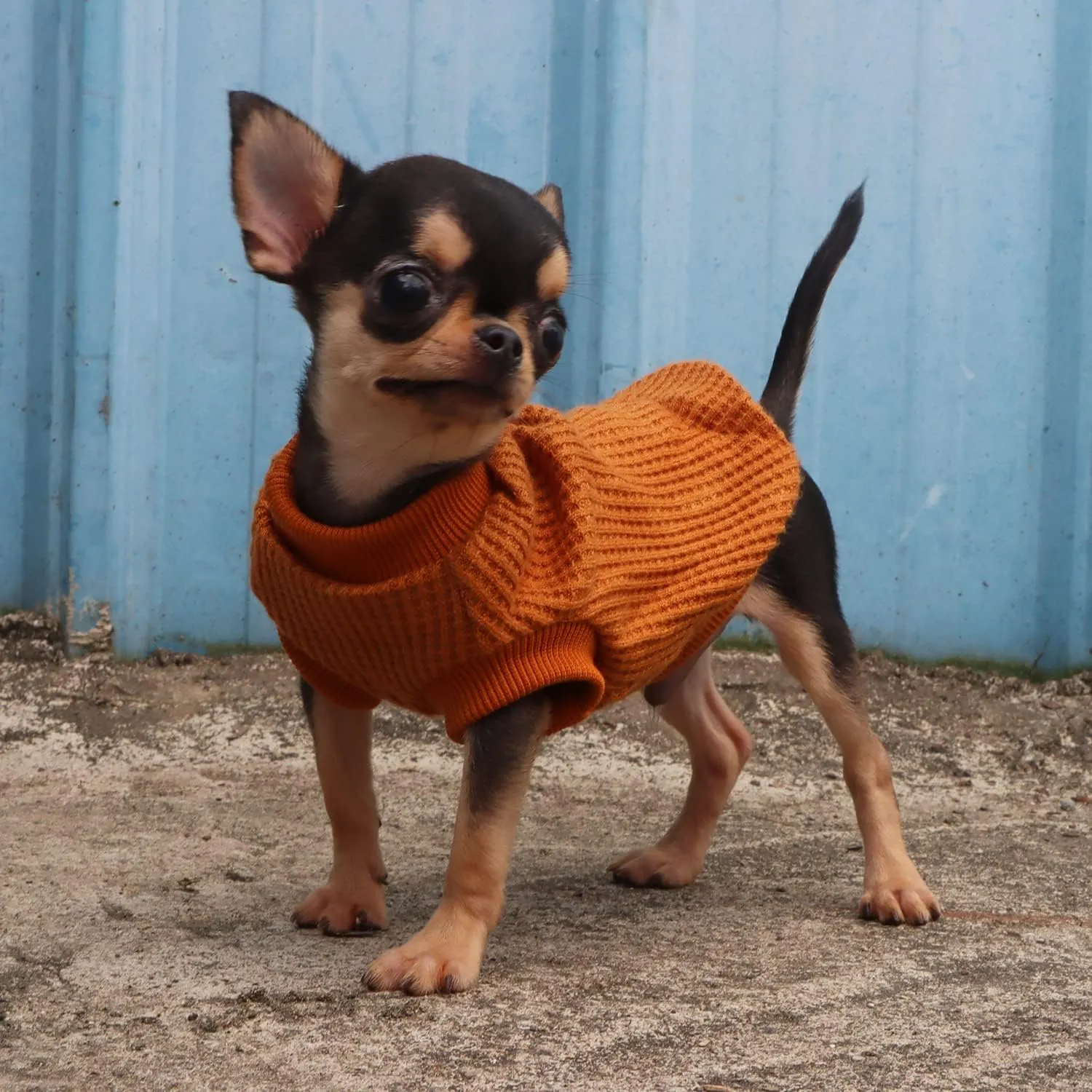 LOPHIPETS Lightweight Dog Sweaters for Puppy Small Dogs Puppy Chihuahua Yorkie Clothes-Yellow/XXS