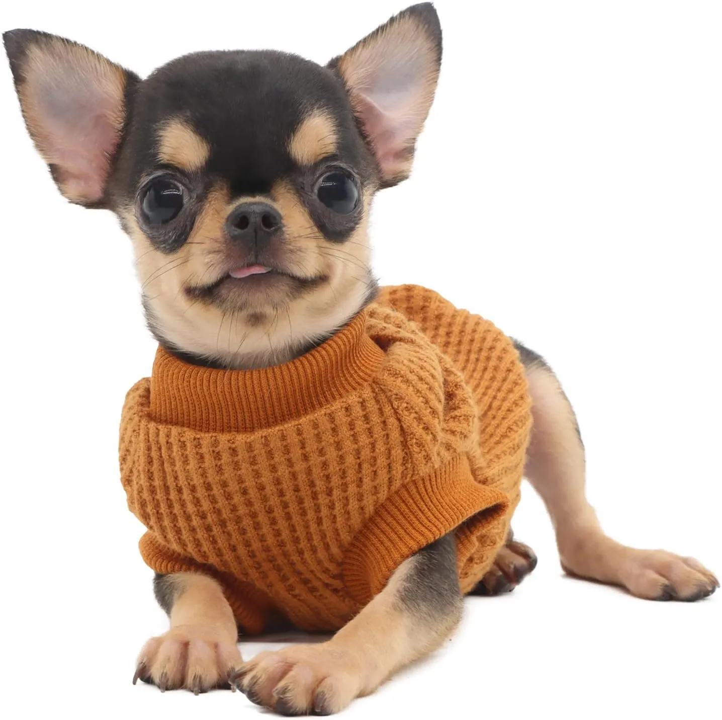 LOPHIPETS Lightweight Dog Sweaters for Puppy Small Dogs Puppy Chihuahua Yorkie Clothes-Yellow/XXS