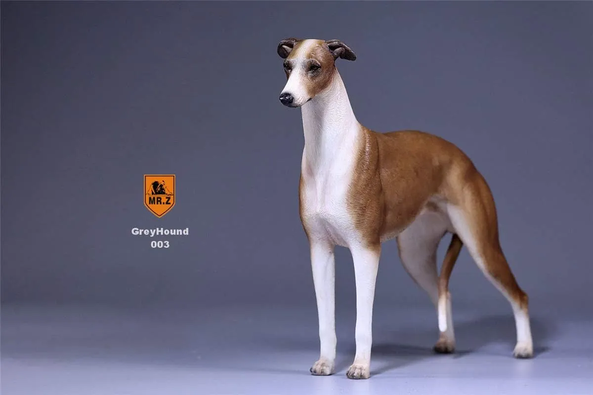 Mr.Z 16 Scale Greyhound Whippet Dog Pet Healing Figure Realistic Canidae Animal Model Resin Toys Collector Home Decoration Birthday Gift for Adult (003)