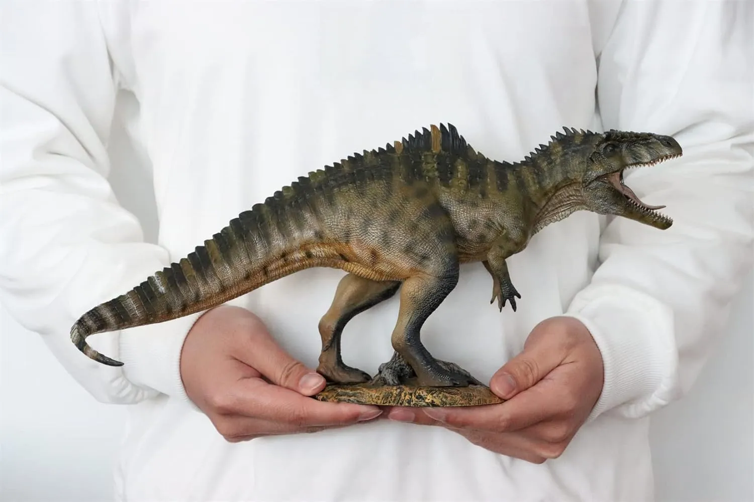 Nanmu Giganotosaurus 2.0 The King of The Border Model Carcharodontosauridae Dinosaur Figure Prehistoric Animal PVC Collector Decoration Gift for Adult (172206(Gustav) DX)