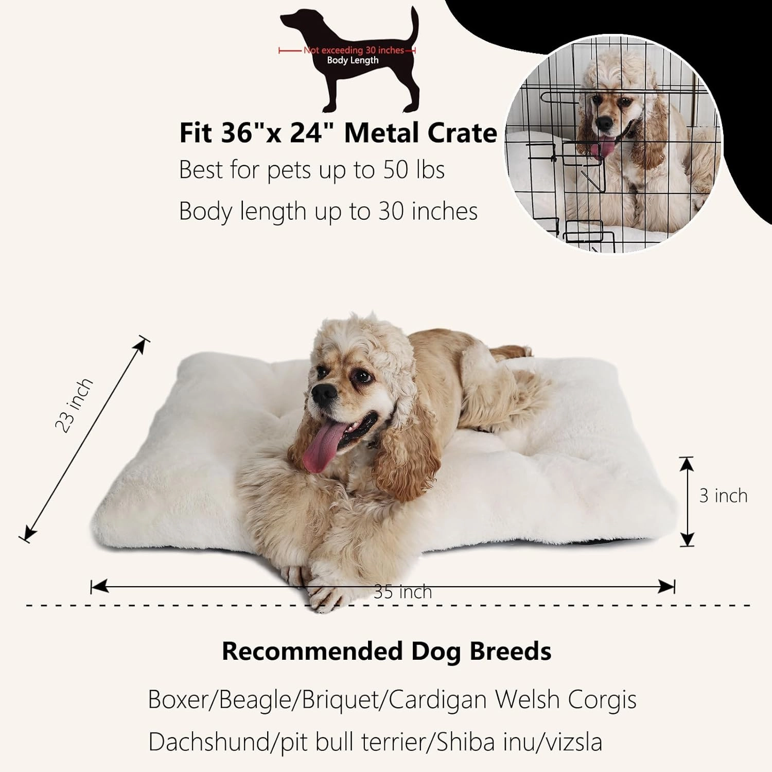 nononfish Dog Crate Bed 36 x 24 for Large Dogs Washable with Anti-Slip Bottom,Extra Soft 36 inch Crate Pad fit Kennel or Cage Pet Sleeping Mat,Fits up to 50 lbs,35" x 23" x 3" Cream White