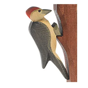 Ostheimer Woodpecker