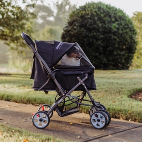 P1 Pet Stroller | Foldable, Lightweight & Travel-Friendly
