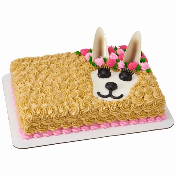 Pet Creations Cake Topper Set
