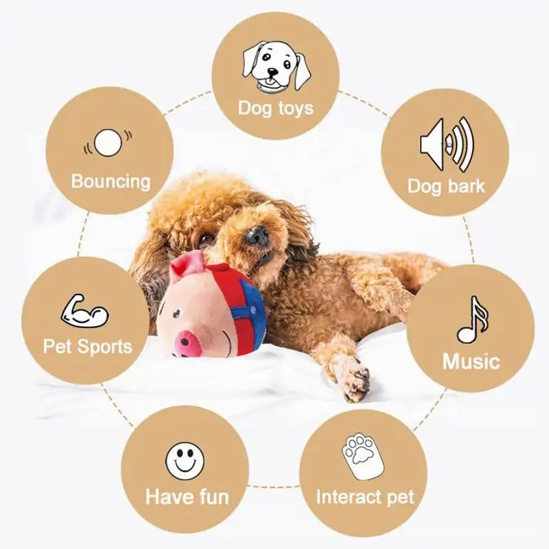 Pet Pals: Interactive Talking Ball for Pets
