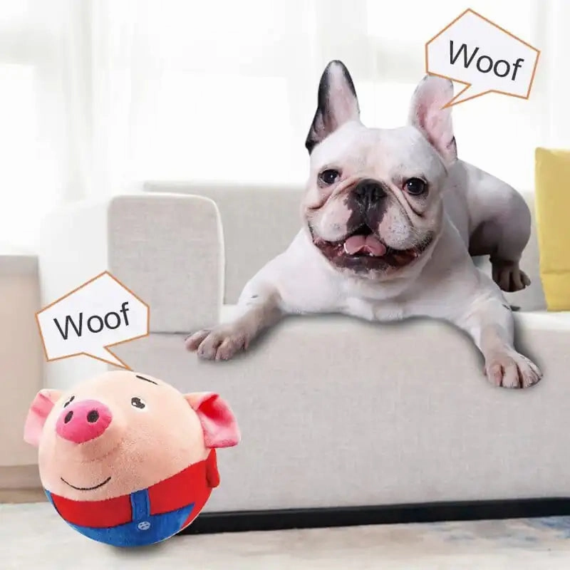 Pet Pals: Interactive Talking Ball for Pets