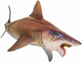 PNSO Helicoprion Haylee Figure Realistic Edestidae Shark PVC Collector Toys Animal Art Model Decoration Gift for Adult
